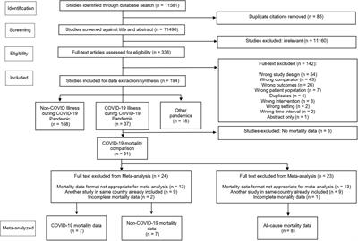 Coronavirus disease 2019 (COVID-19) excess mortality outcomes associated with pandemic effects study (COPES): A systematic review and meta-analysis